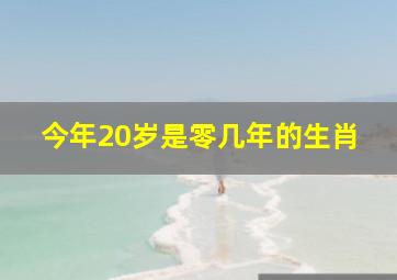 今年20岁是零几年的生肖