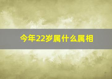 今年22岁属什么属相