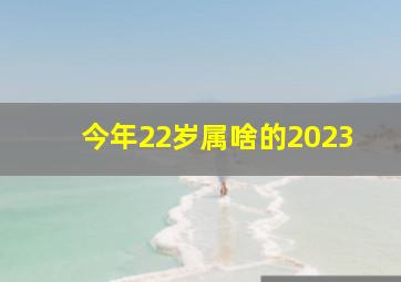 今年22岁属啥的2023