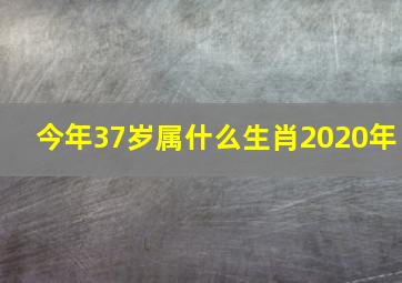 今年37岁属什么生肖2020年