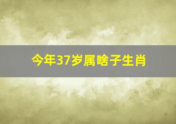 今年37岁属啥子生肖