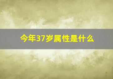 今年37岁属性是什么