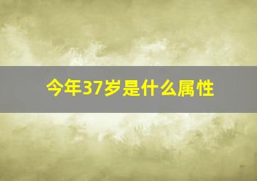 今年37岁是什么属性