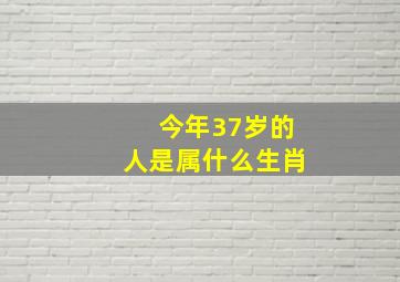 今年37岁的人是属什么生肖