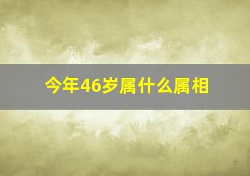 今年46岁属什么属相