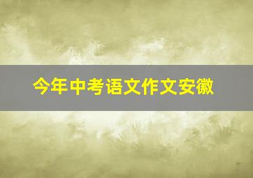 今年中考语文作文安徽