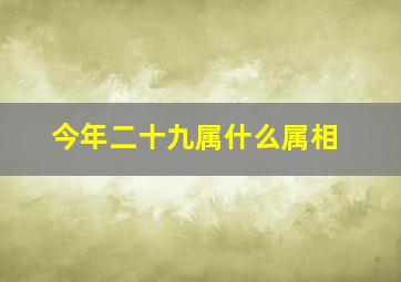 今年二十九属什么属相