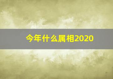 今年什么属相2020