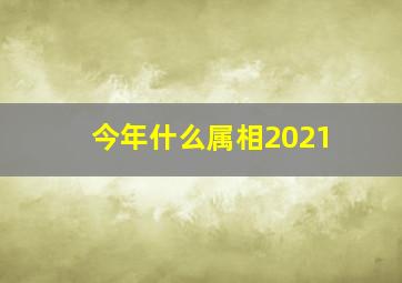 今年什么属相2021