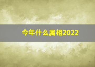 今年什么属相2022