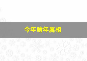 今年啥年属相