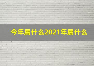 今年属什么2021年属什么