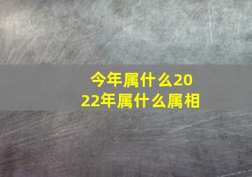 今年属什么2022年属什么属相