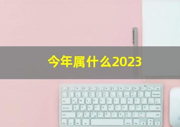 今年属什么2023