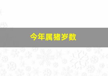 今年属猪岁数