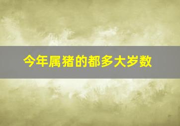 今年属猪的都多大岁数