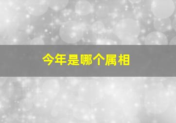 今年是哪个属相