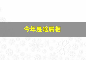 今年是啥属相