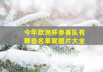 今年欧洲杯参赛队有哪些名单呢图片大全