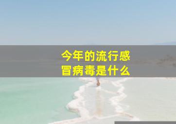 今年的流行感冒病毒是什么