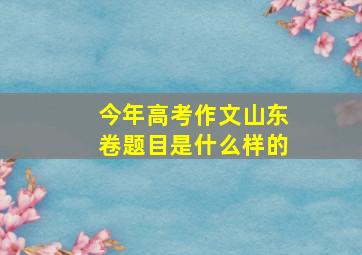 今年高考作文山东卷题目是什么样的