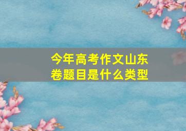 今年高考作文山东卷题目是什么类型