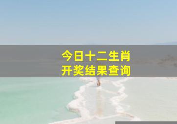 今日十二生肖开奖结果查询