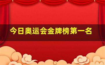 今日奥运会金牌榜第一名