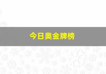 今日奥金牌榜