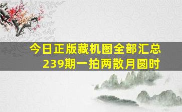 今日正版藏机图全部汇总239期一拍两散月圆时