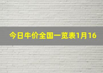 今日牛价全国一览表1月16