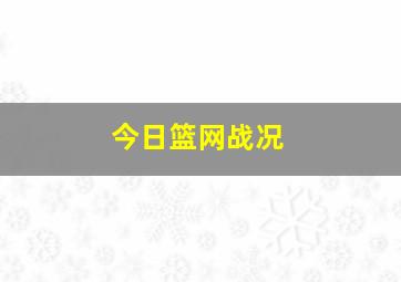 今日篮网战况