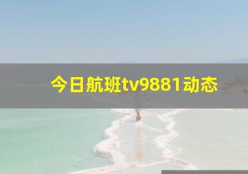 今日航班tv9881动态