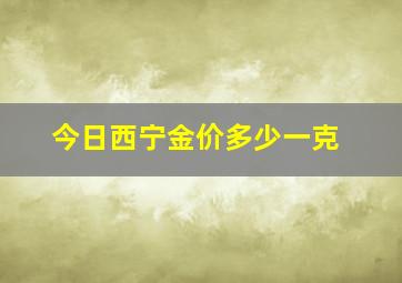 今日西宁金价多少一克