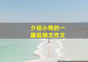 介绍小狗的一篇说明文作文