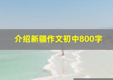 介绍新疆作文初中800字