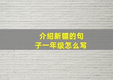 介绍新疆的句子一年级怎么写