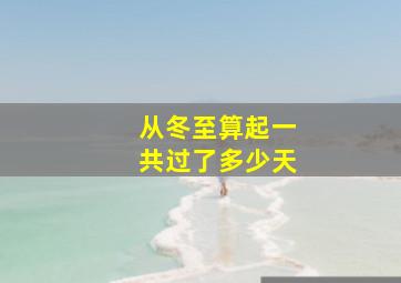 从冬至算起一共过了多少天