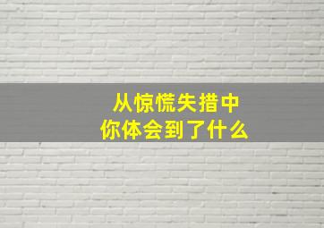 从惊慌失措中你体会到了什么