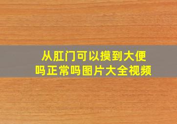 从肛门可以摸到大便吗正常吗图片大全视频