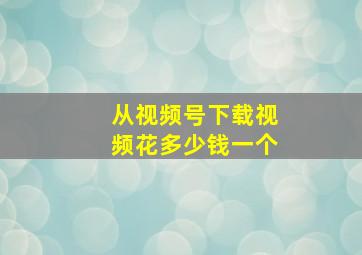 从视频号下载视频花多少钱一个