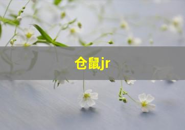 仓鼠jr