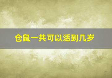 仓鼠一共可以活到几岁