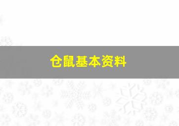 仓鼠基本资料