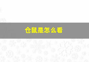 仓鼠是怎么看