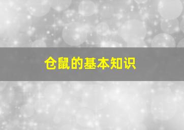 仓鼠的基本知识