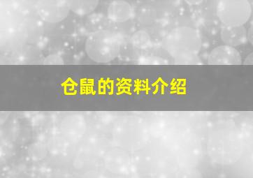 仓鼠的资料介绍