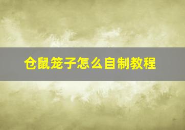 仓鼠笼子怎么自制教程