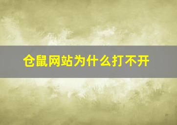 仓鼠网站为什么打不开