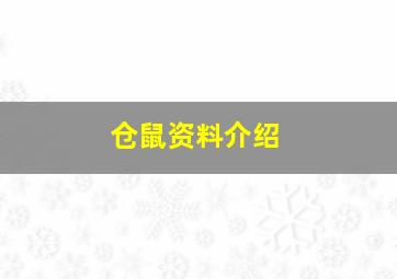 仓鼠资料介绍